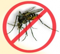 panfleto Campanha todos contra a dengue