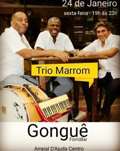 panfleto Trio Marrom