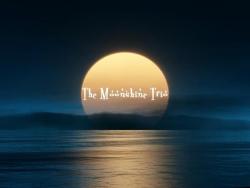 panfleto The Moonshine Trio
