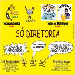 panfleto S Diretoria