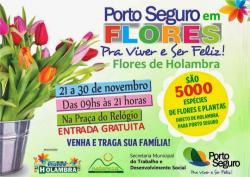 panfleto Porto Seguro em Flores