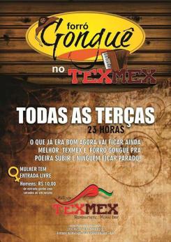 panfleto Forr Gongu TexMex