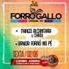 panfleto Forr do Gallo - Thiago Alcantara & Carol + banda Forr no P