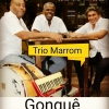 panfleto Trio Marrom