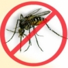 panfleto Campanha todos contra a dengue