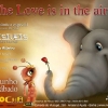 panfleto Love is in the Air - Os Invisveis