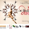 panfleto 3 Balaio de Dana 2013