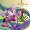 panfleto Mostra de Orqudeas e Bromlias